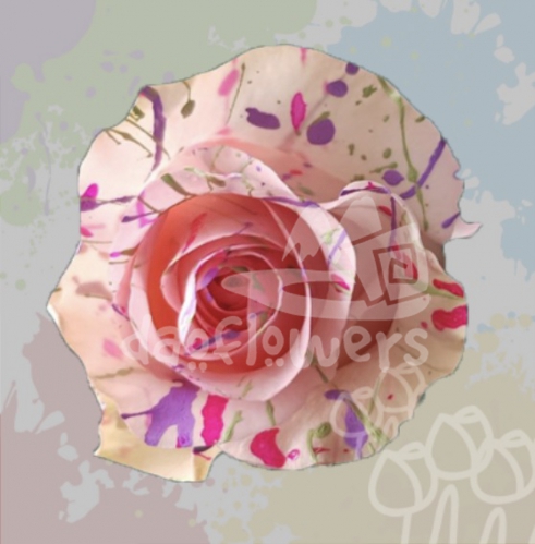 KF 03  Mom Confetti PNT