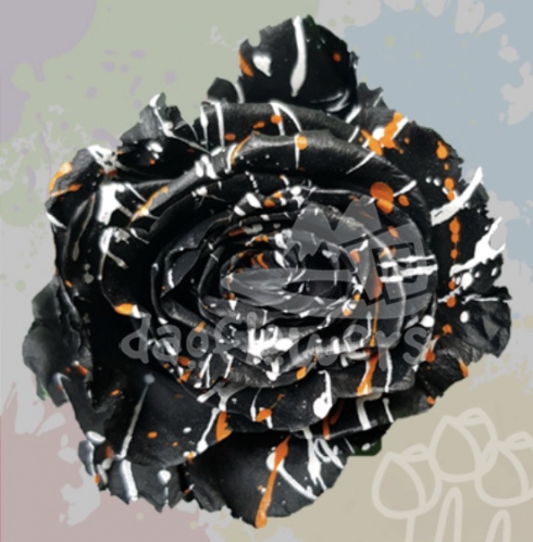 KF 23 darkness confetti PNT