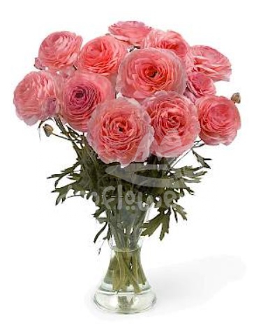 romance Nohant