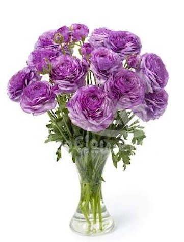 romance Loubeyres