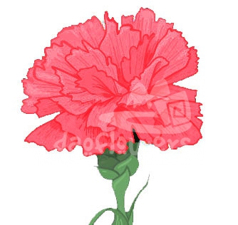 CERISE