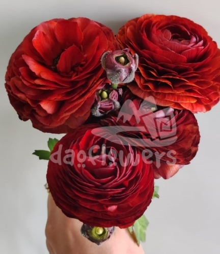 elegance dark red