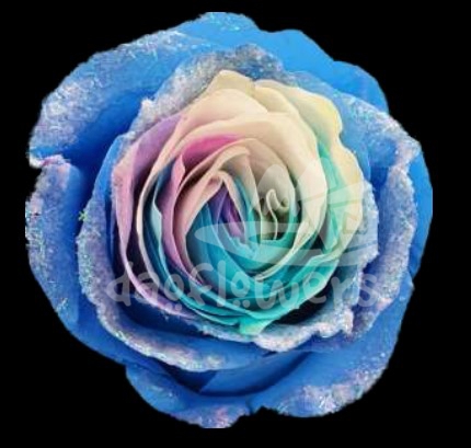 Frosting Sky 2 PNT