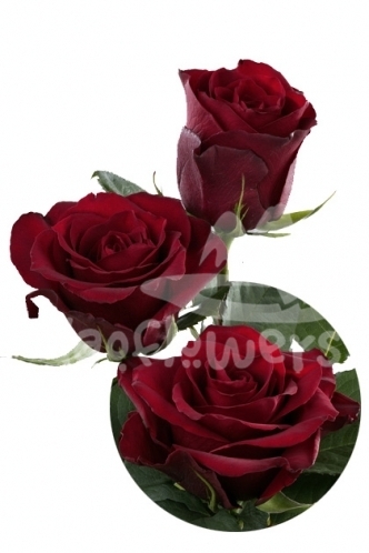 red diamond